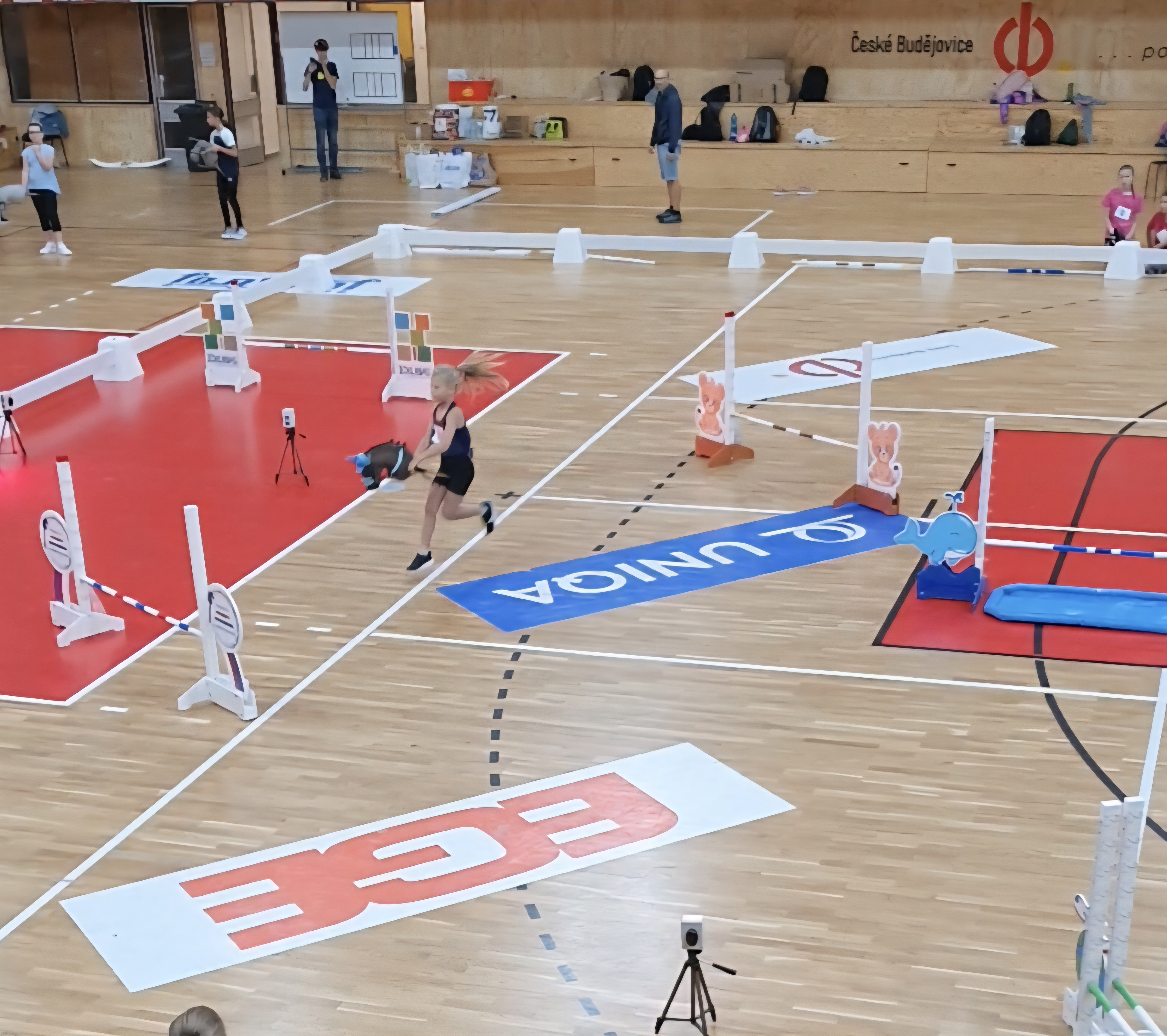 Jak připravit dítě na první hobby horsing závod: kompletní průvodce pro rodiče