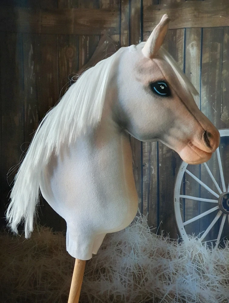Hobby Horse - Holandský teplokrevník (1)