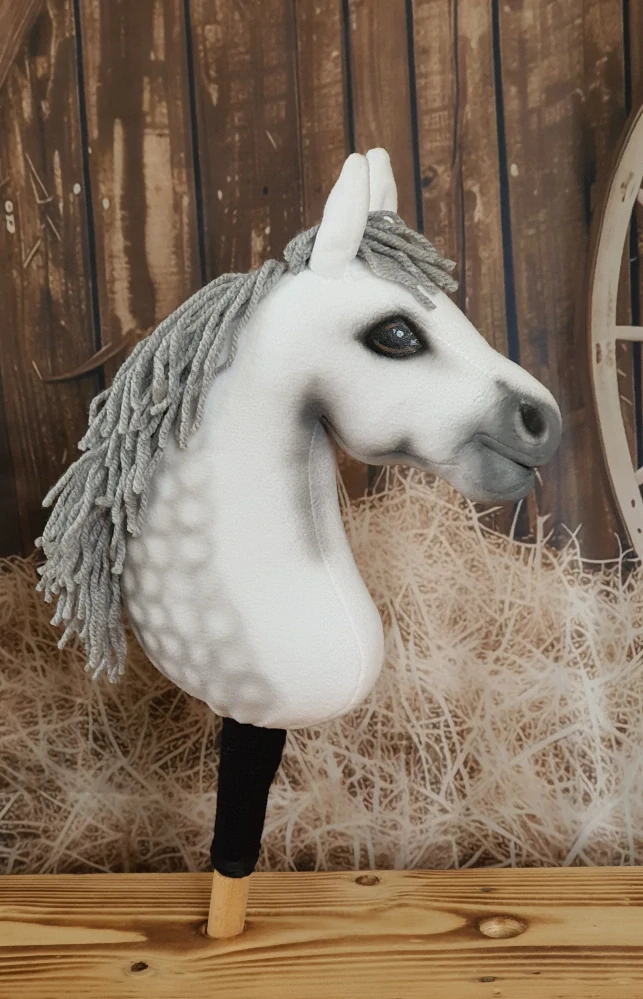 Pony - Velšský pony