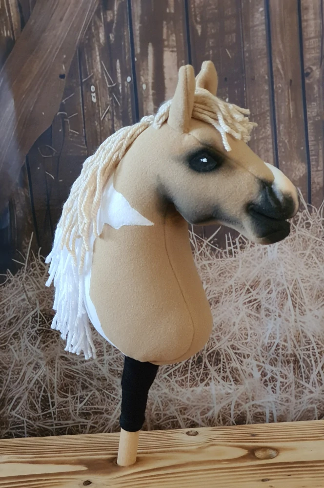 Pony - Shetland pony (1)