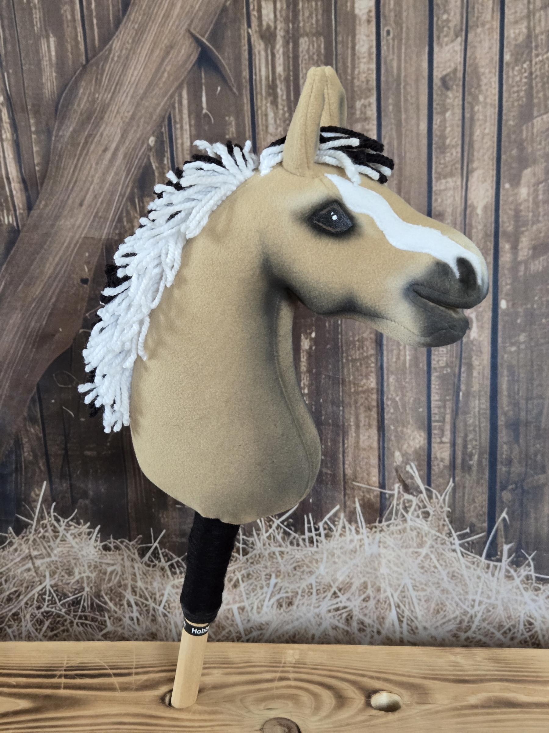 Pony - Fjord (1)