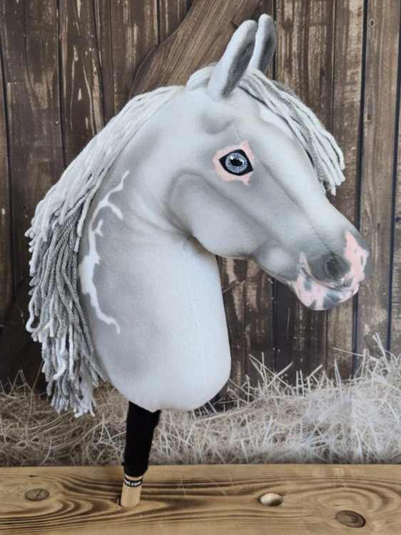 Hobby Horse - Oldenbruský kůň