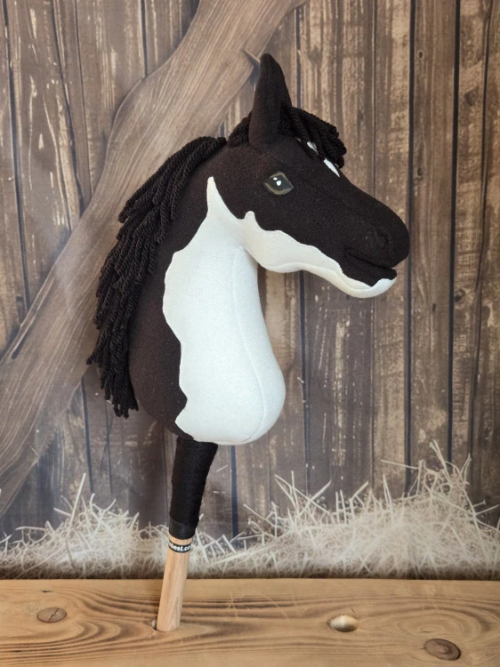 Pony - Shetland pony (10)
