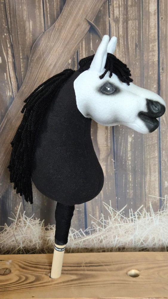 Pony - Shetland pony (11)