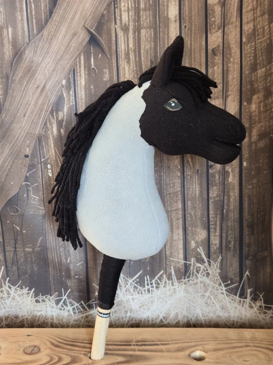 Pony - Shetland pony (12)
