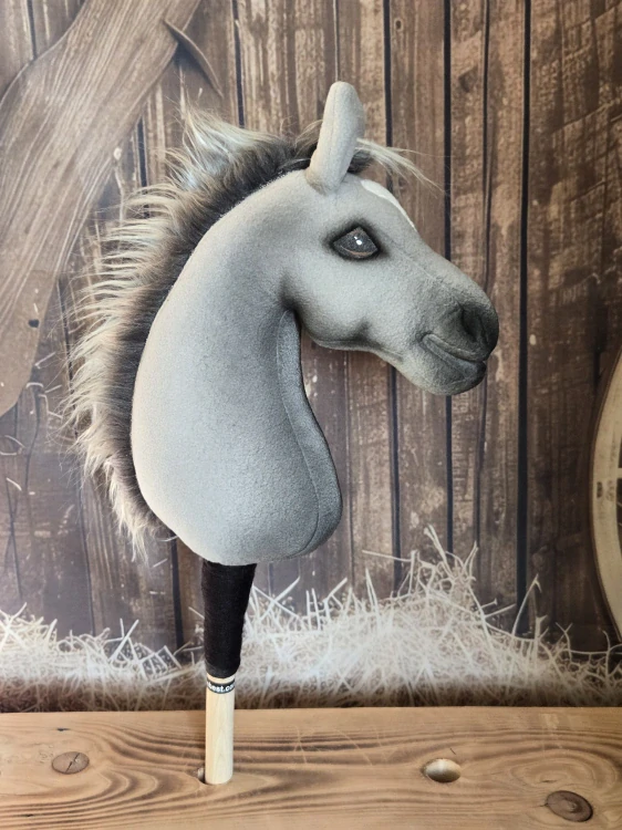 Pony - Český sportovní pony (4)