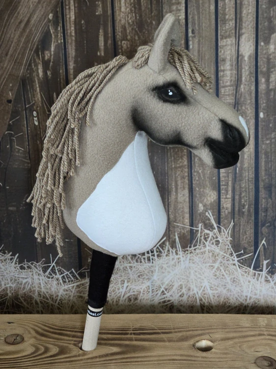 Pony - Shetland pony (14)