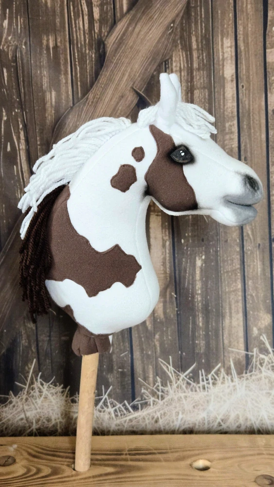 Pony - Shetland pony (16)