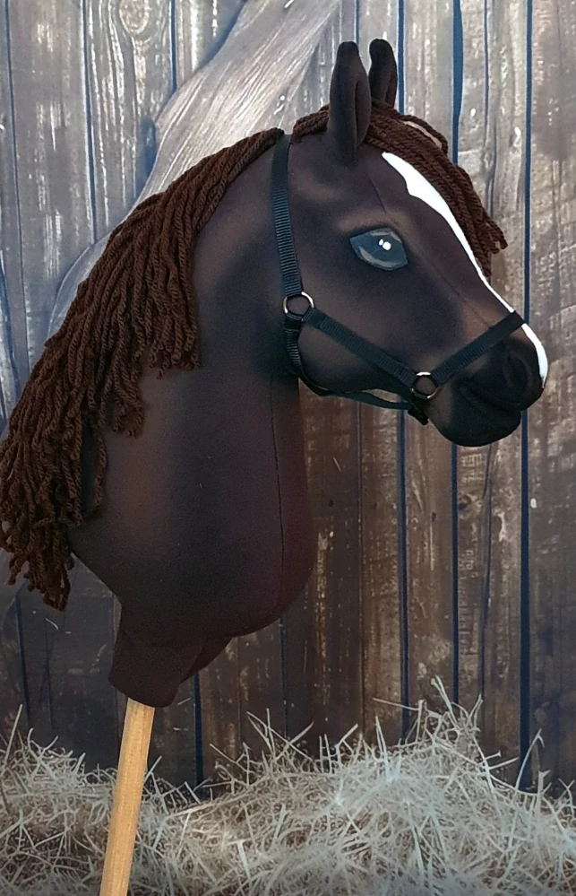 Hobby Horse - Polský teplokrevník