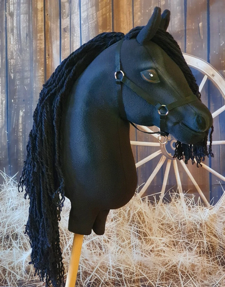Hobby Horse - Fríský kůň