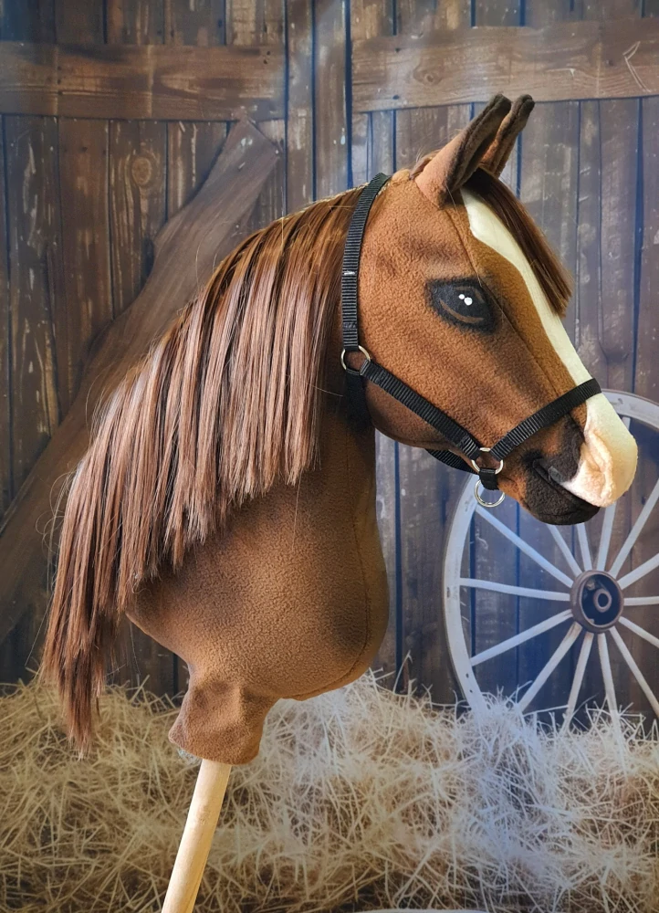 Hobby Horse - Belgický teplokrevník (3)