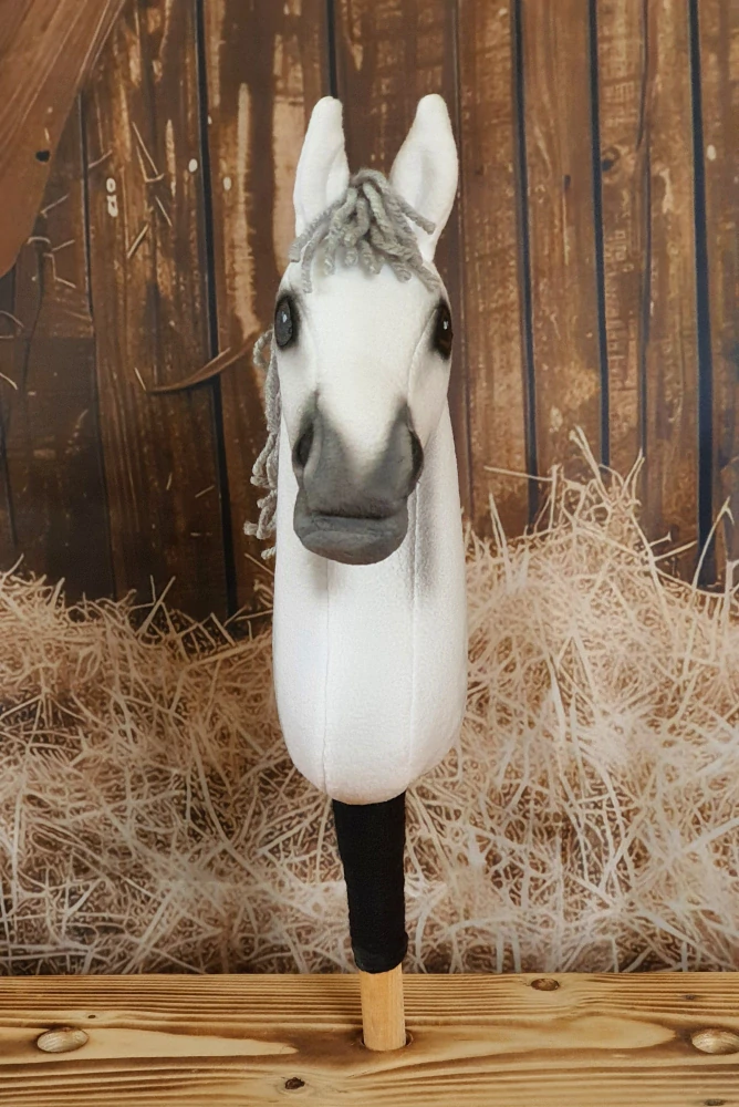 Pony - Velšský pony