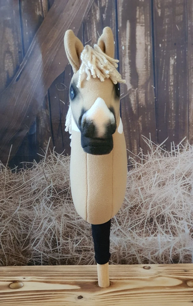 Pony - Shetland pony (1)