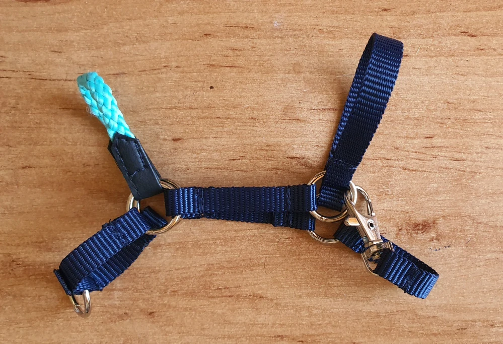 Stájová ohlávka pro Hobby Horse – modro-tyrkysová z popruhu, bez beránku, velikost PONY