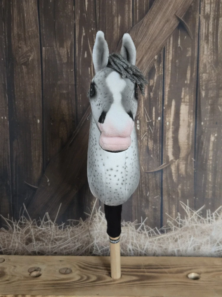 Pony - Highland pony