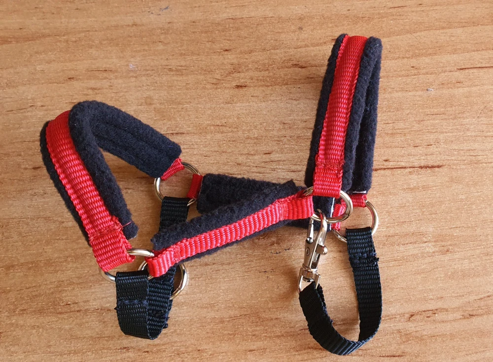 Stájová ohlávka pro Hobby Horse – červeno-černá z popruhu podšitá černým fleecem, velikost PONY