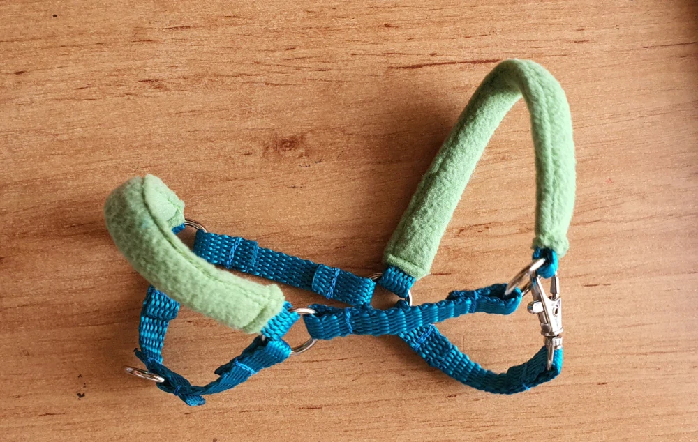 Stájová ohlávka pro Hobby Horse – modrá z popruhu se zeleným fleecem na nánosníku a nátylníku, velikost PONY