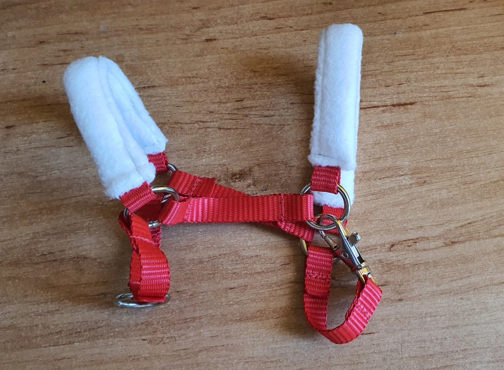 Stájová ohlávka pro Hobby Horse – červená z popruhu s bílým fleecem na nánosníku a nátylníku, velikost PONY