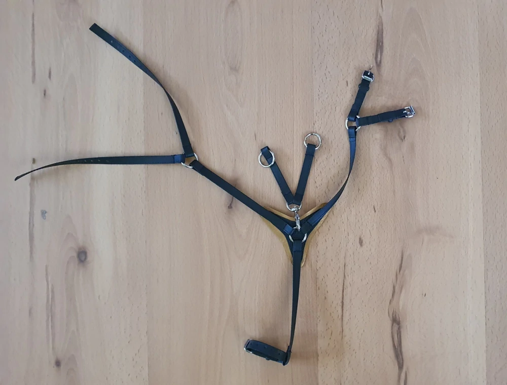Hobby Horse - Martingal, černo-zlatý