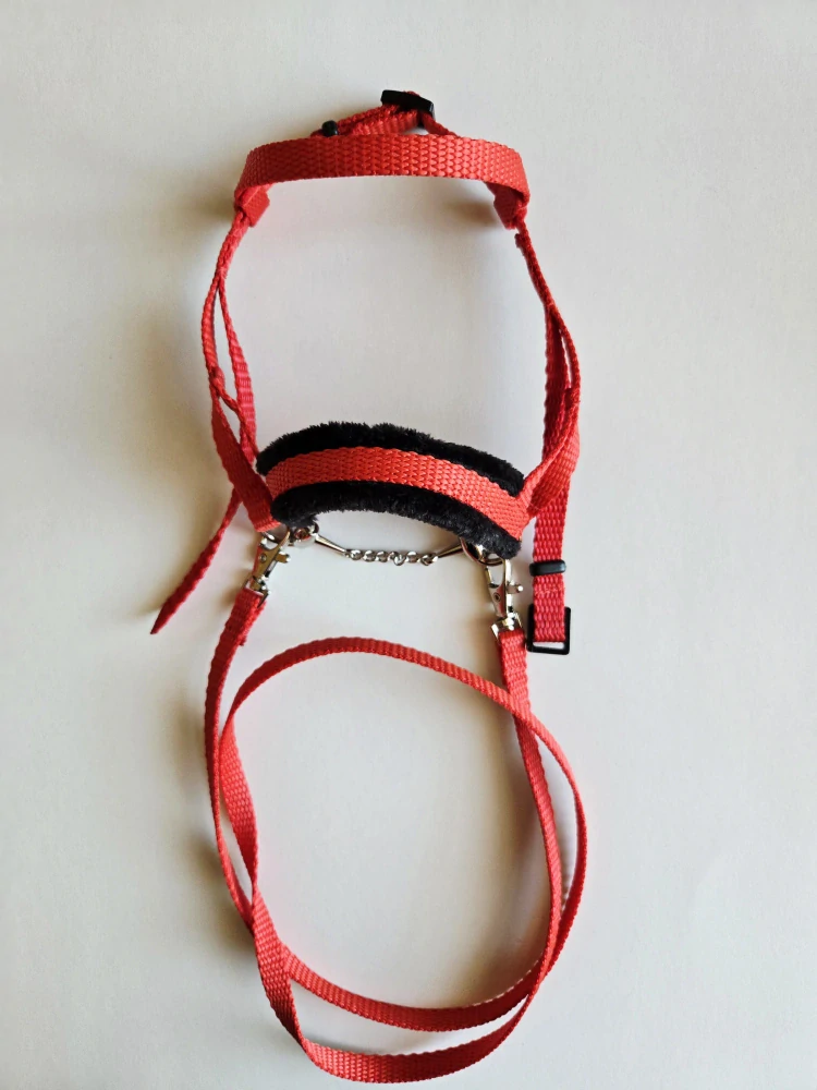 Uzdečka s anglickým nánosníkem bez podpínky pro Hobby Horse – červená z popruhu s černým beránkem, velikost PONY