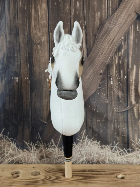 Pony - Shetland pony (4)