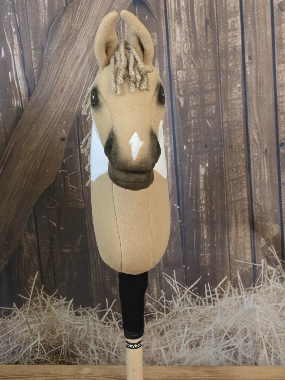 Pony - Shetland pony (6)
