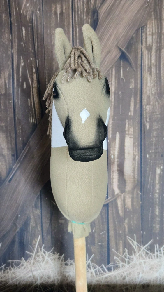 Pony - Shetland pony (6)