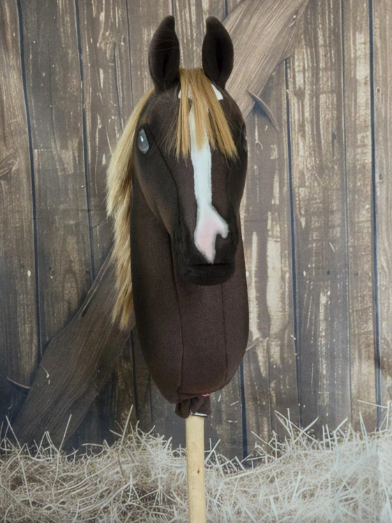 Hobby Horse - Rocky mountain horse