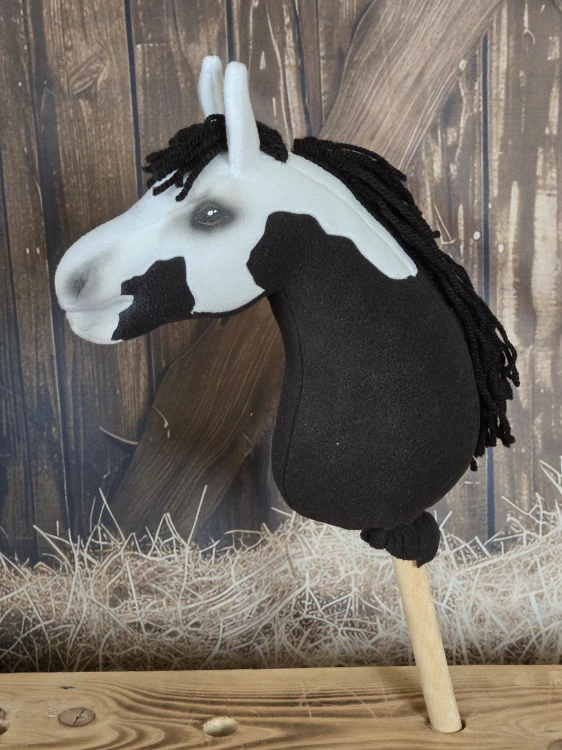 Pony - Shetland pony (9)