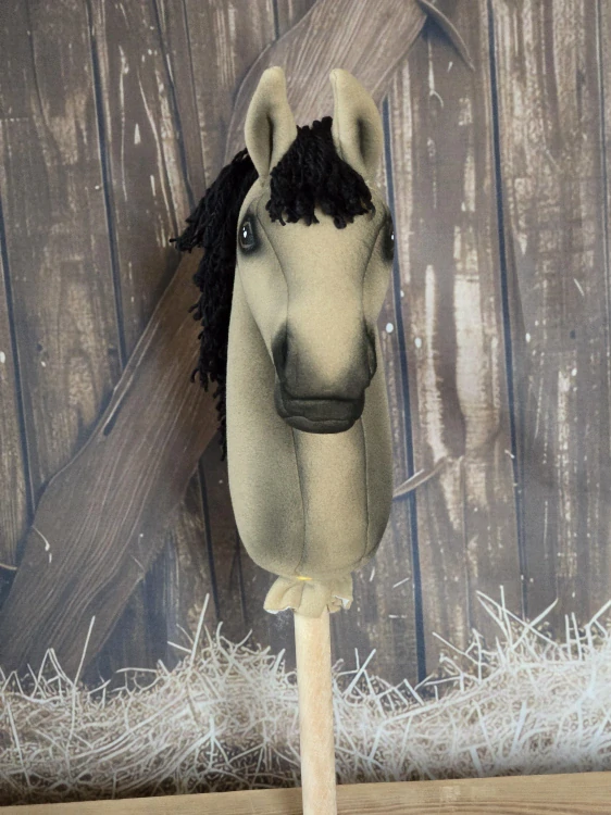 Pony - Český sportovní pony (3)