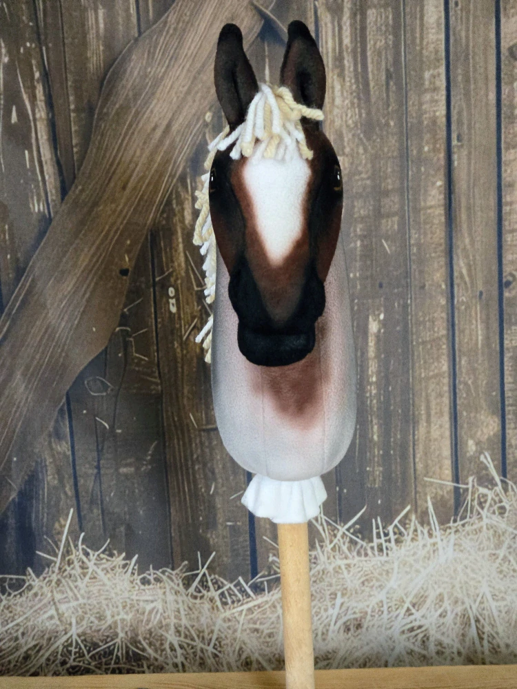 Pony - Americký pony (3)
