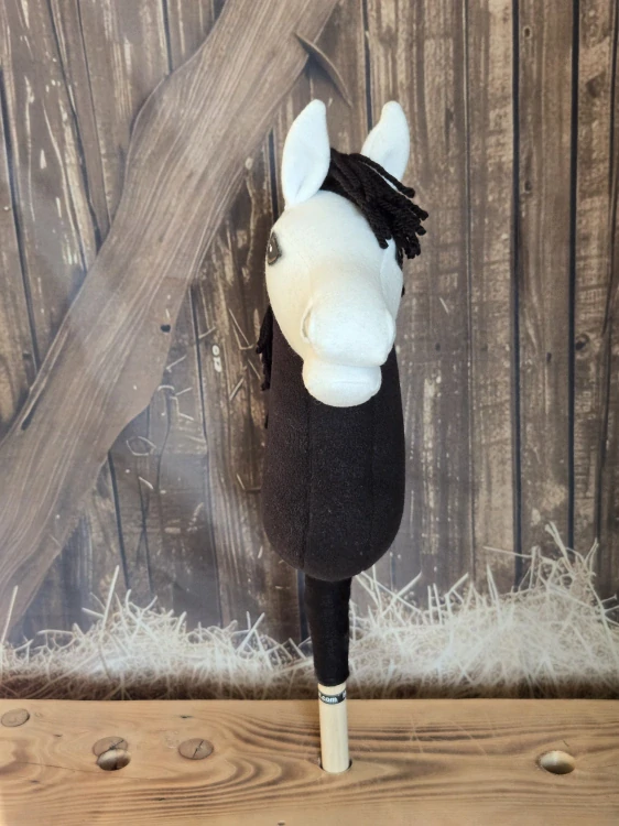 Pony - Shetland pony (11)
