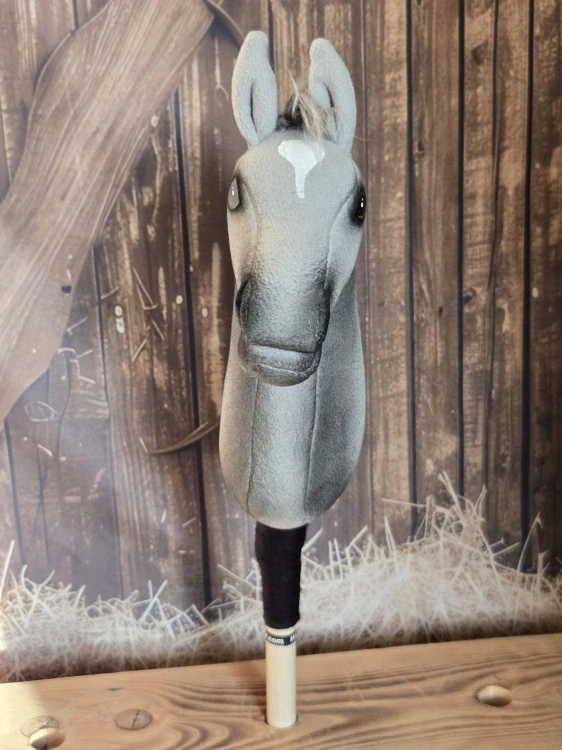 Pony - Český sportovní pony (4)