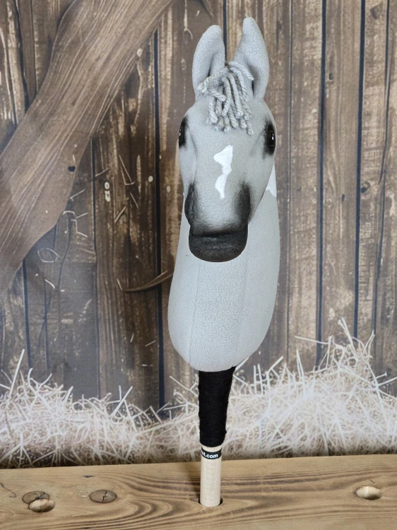 Pony - Shetland pony (13)