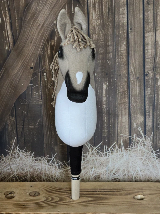 Pony - Shetland pony (14)