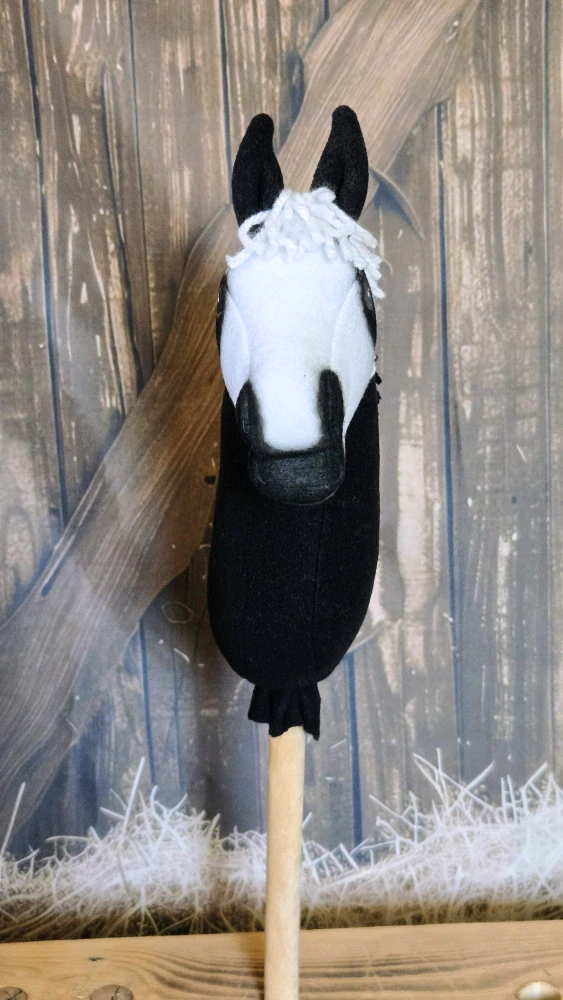 Pony - Shetland pony (12)
