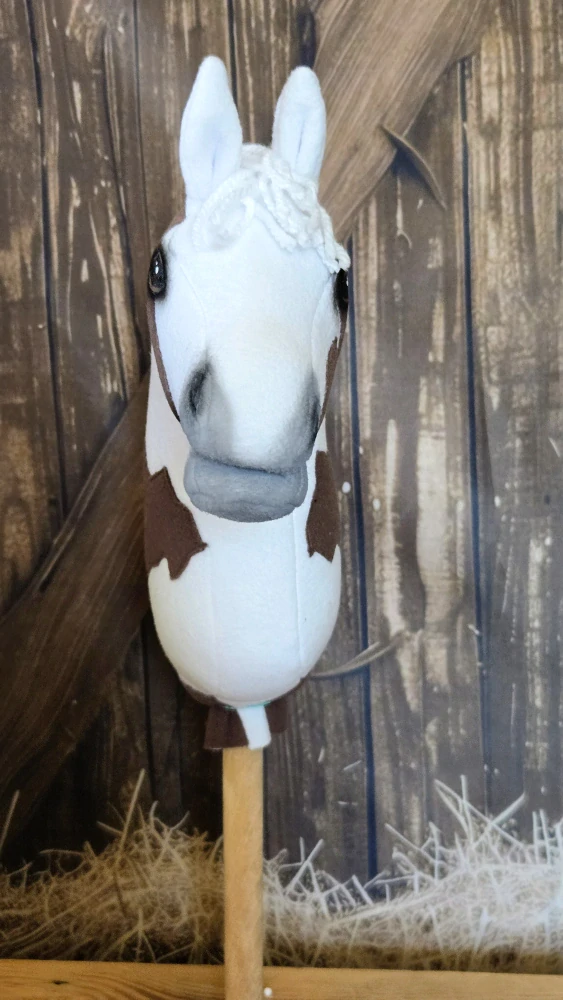 Pony - Shetland pony (16)