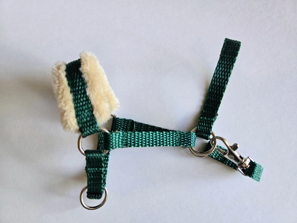Stájová ohlávka pro Hobby Horse – zelená z popruhu s béžovým beránkem, velikost PONY