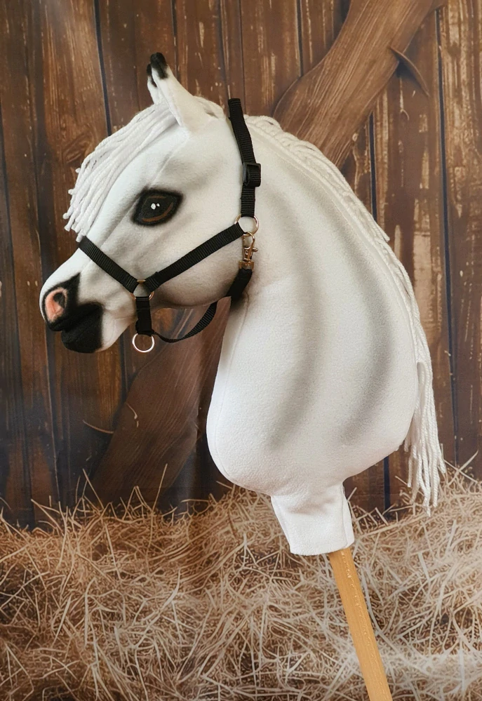 Hobby Horse - Lipický kůň