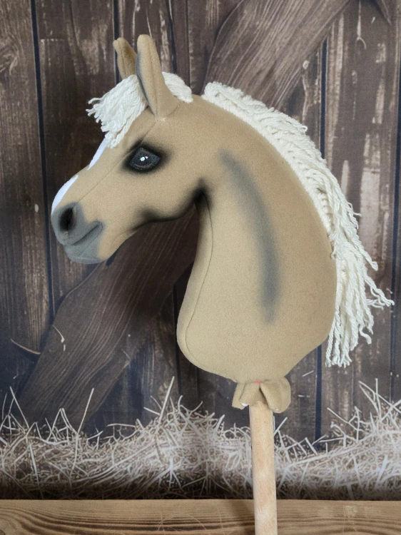 Pony - Německý jezdecký pony