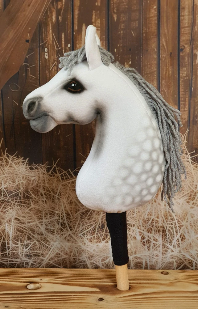 Pony - Velšský pony