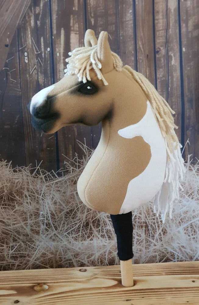 Pony - Shetland pony (1)