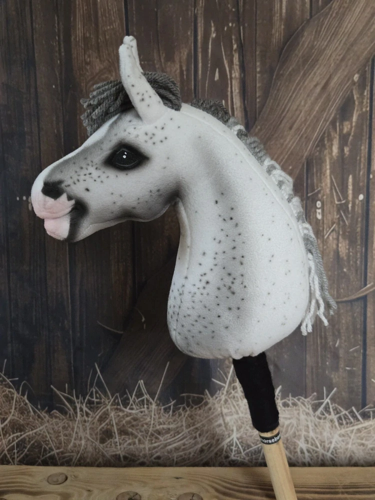 Pony - Highland pony