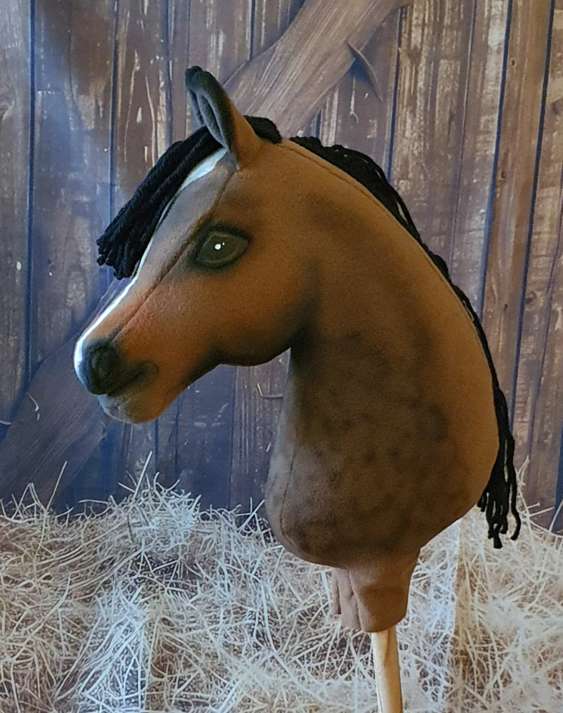 Hobby Horse - Holštýnský teplokrevník