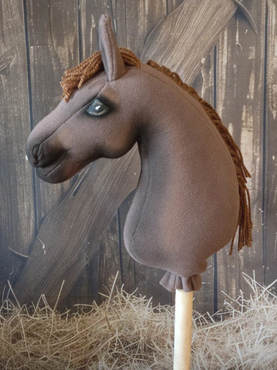 Pony - Český sportovní pony (2)