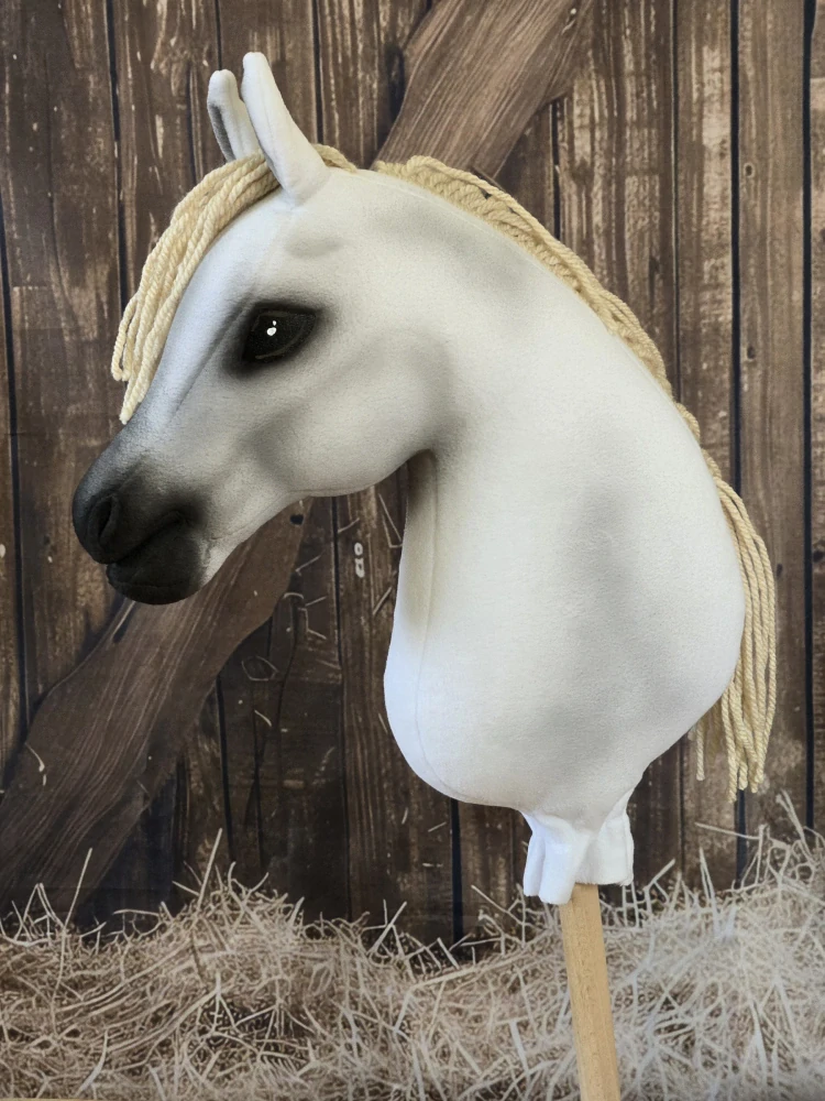Hobby Horse - Shagya arab (3)
