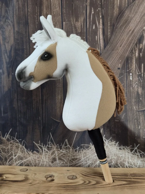 Pony - Shetland pony (4)