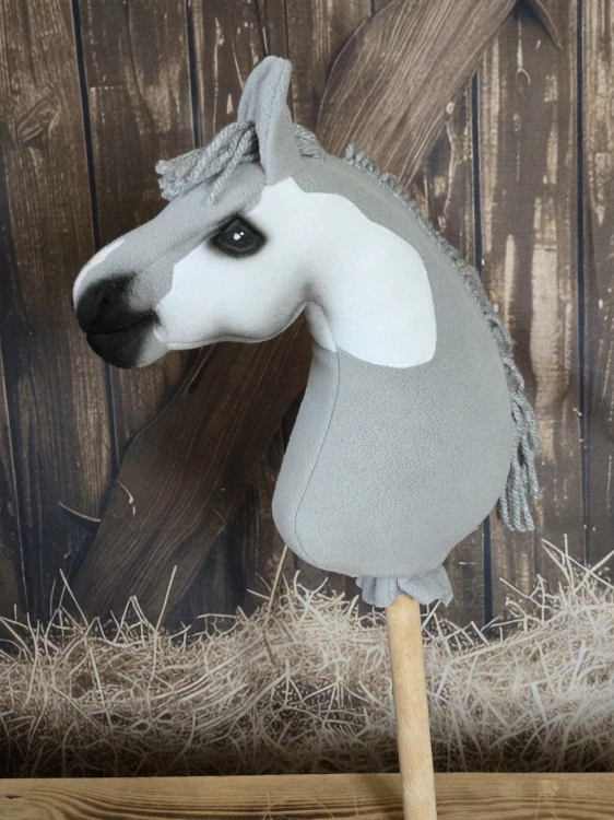 Pony - Shetland pony (5)