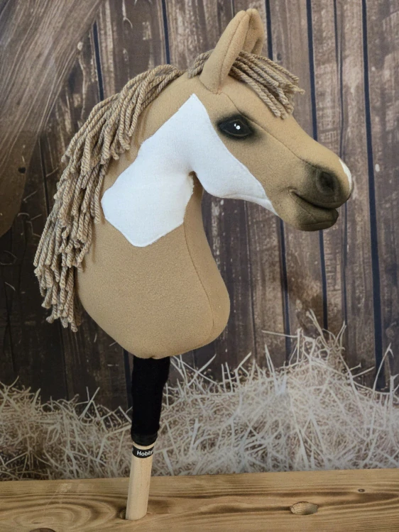 Pony - Shetland pony (6)