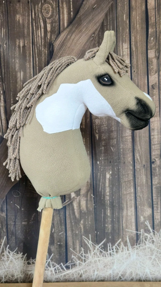 Pony - Shetland pony (6)